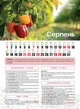 Посівний Календар 2027 із серії Світовид - зображення 10