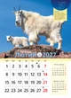 Астрокалендар 2027 Рік Червоної Вогняної Кози із серії Світовид - изображение 3