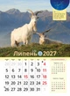 Астрокалендар 2027 Рік Червоної Вогняної Кози із серії Світовид - изображение 8