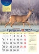 Астрокалендар 2027 Рік Червоної Вогняної Кози із серії Світовид - изображение 13