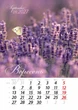 Подарунковий Календар 2027 Лавандові мрії (Lavander Dreams) Формат А3 - изображение 11