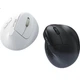 Мышь Delux M618Air Wireless/Bluetooth Rose - изображение 1