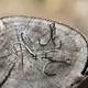 Рибальський гачок Erciyuan, високовуглецевий потрійний гачок Blood Slat Lure Hook, трикігтовий гачок-анкерний рибальський гачок, потрійний гачок розмір 6# - изображение 12