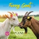 Календар 2027 Рік Кози (Funny Goat) із серії Свято кожен день - зображення 1