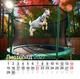 Календар 2027 Рік Кози (Funny Goat) із серії Свято кожен день - зображення 12