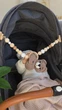 Подвеска растяжка в коляску Chickabiddy, на клипсах, вязанный Мишка, развитие мелкой моторики малыша, тактильный тренажер игрушка погремушка - изображение 4