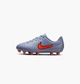 Бутсы детские Nike Legend 10 Club Fg/Mg Grey 32 Серый DV4352-402 - изображение 1