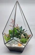 Геометрический флорариум с живыми сукулентами "Лунный свет", высота 29 см - изображение 5