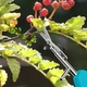 Секатор садовый для сбора плодов и обрезки веток 20 см из высокоуглеродистой стали эргономичный инструмент для ухода за садом Голубой - изображение 2
