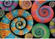 Пазл Clementoni Color Boom Collection: Кудрявые хвосты (Color Boom Collection - Curly Tails Puzzle - 500 pcs.), 500 эл. (35529) - изображение 2
