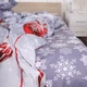 Простынь Ranforce Elite 17-0657 Mistletoe 220*240 - изображение 1