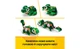 Конструктор Lego Creator 3в1 Черепаха с цветком водяной лилии, 124 деталей 31377 - изображение 6