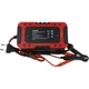 Зарядное устройство Foxsur FBC1206F Red [175025] - изображение 3