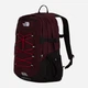 Рюкзак тканинний вміщує формат А4 The North Face Borealis Classic NF00CF9CZSE1 Червоний (800070362480) - зображення 4