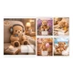 Зошит 1 вересня Bear stories А5 24 аркушів клітинка (768974) (20 шт) - зображення 1