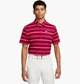 Поло чоловіче Nike Dri-Fit Tour Striped Golf Polo Violet S Фіолетовий DR5300-620 - зображення 1