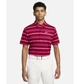 Поло чоловіче Nike Dri-Fit Tour Striped Golf Polo Violet S Фіолетовий DR5300-620 - зображення 5