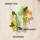 Туалетная вода Elizabeth Arden Green Tea женский парфюм с нотами бергамота, чая и цветочный аромат (100 мл) - изображение 6