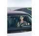Автомобільний відеореєстратор Xiaomi 70mai Dash Cam M310 Plus 3K 360° - изображение 7