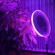 Кольцевая LED лампа GS-330 диаметром 33 см с пультом ДУ 17 режимов цветного света для блогеров и профессиональной видеосъемки Белая - изображение 2
