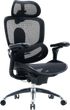Fotel biurowy ergonomiczny Sihoo DORO C300 PRO V2 Czarny (4820216980141) - obraz 2