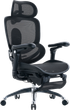 Fotel biurowy ergonomiczny Sihoo DORO C300 PRO V2 z podnożkiem Czarny (4820216980158) - obraz 1