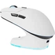 Мышь Thunderobot ML7 Tri-mode White with Charing Dongle (6932066316075) [175906] - изображение 1
