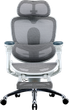 Fotel biurowy ergonomiczny Sihoo DORO C300 PRO V2 z podnożkiem White (4820216980172) - obraz 1