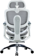 Fotel biurowy ergonomiczny Sihoo DORO C300 PRO V2 z podnożkiem White (4820216980172) - obraz 2