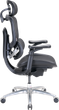 Fotel biurowy ergonomiczny Sihoo DORO C300 LITE V2 Czarny (4820216980103) - obraz 4