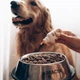 Лососева олія для собак та котів PRACTIK SUPERFOOD 500 мл - изображение 4