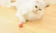 Інтерактивний електричний м'яч для котів та кошенят IS3291 (рожевий) HTML-опис - зображення 3