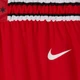Футбольні шорти чоловічі Nike Nba Swingman Shorts Chicago Bulls Icon Edition L Червоний AJ5593-657 - зображення 5