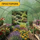 Посилена садова теплиця парник LEOBRO Garden 18м2 Green із тришарової армованої плівки 140г/м2, зелена - зображення 8