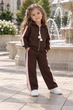 Костюм теплый Blossom Line с лампасами Kiddo шоколадный 92 см - изображение 1