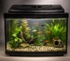 Аквариумный комплект ZooCool T4-LED овальный 400-250-200 (20л) 4мм - изображение 2