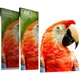 HDMI-кабель PHILIPS версии 2.1, 8K60Hz 4K240Hz, кабель высокой четкости для компьютера, телевизора, телеприставки, монитора, проектора, видеоподключения, 0,5 метра, совместим с HDMI 2.0 - изображение 3