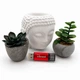 USB флеш накопитель Wibrand 128GB Ladybug Red USB 3.2 (WI3.2/LB128P10S) Wibrand WI3.2/LB128P10S 1084030 - изображение 6
