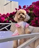 Платье для собаки молочное изо льна с розовыми акцентами “Belle&Bow” Feel with Fill, размер XL - изображение 1