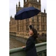 Парасоля-тростина Fulton Chiswick L943-042410 Navy (Темно-синій) L943-042410 - изображение 5
