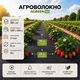 Агроволокно чорне Agreen 50г/м² (1,07х100) з перфорацією 2 отв 018843 - зображення 1