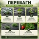 Агроволокно Agreen чорне з перфорацією 3 отв (1,07х10) 013351 - зображення 3
