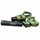 Аккумуляторная воздуходувка Green Machine 62 В, 4 А·ч, 480 м³/ч с зарядным устройством для уборки листьев - изображение 11