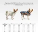 Дощовик-накидка з капюшоном для собак Waudog Clothes NASA21 L 48-52х60-70х42-52 см (358-0148 Col) - зображення 2