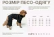 Дощовик-комбінезон для такс DogsBomba Марсала розмір 5 непромокальний одяг для собак водовідштовхувальний демісезонний осінній весняний захист від дощу вітру бруду на змійці плащівка з регуляторами унісекс МТ-32/5 - зображення 6