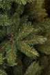 Сосна 3,65 м TriumphTree ПВХ зелена з інеєм - зображення 6