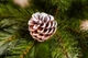 Сосна TriumphTree ПВХ 215 см зеленая с инеем и шишками - изображение 6