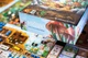Настільна гра Portal Games Мурахи (польське видання) (5905794221615) - зображення 14