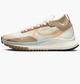 Кросівки для бігу чоловічі Nike Pegasus Trail 4 Gore-Tex 47 Комбінований FN8886-181 - зображення 1