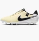 Кроссовки для бега мужские Nike Legend 10 Ac.Fg/M 42.5 Желтый DV4337-700 - изображение 1
